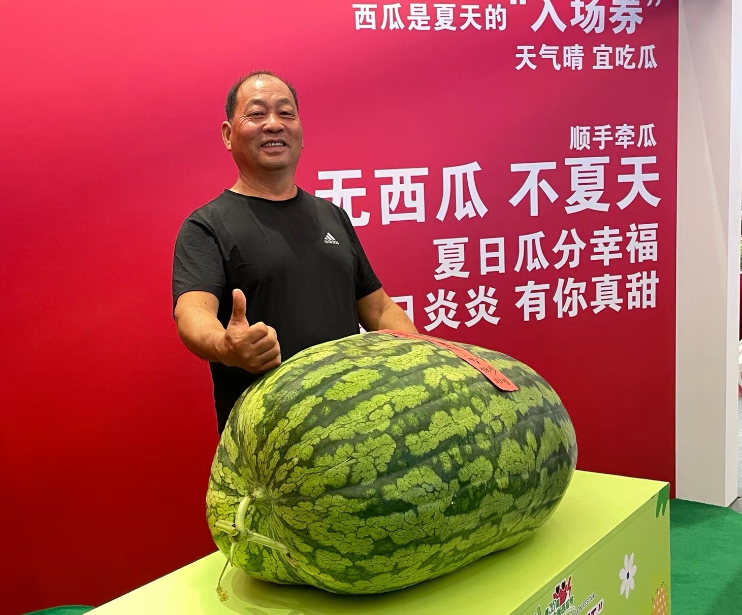 黑料最新吃瓜，娱乐圈那些不可告人的秘密